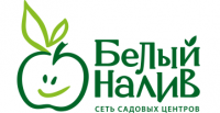 Белый налив