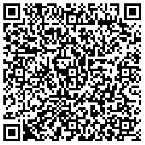 АК Барс Казань Космонавтов, 41 контакты qr