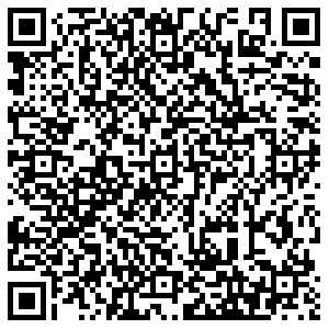 Алеся Тольятти ул. Ленина 49 контакты qr