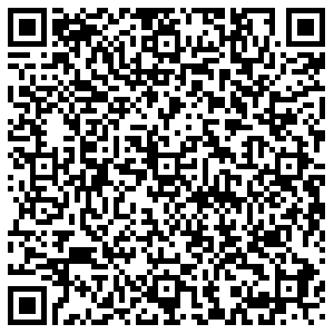 Алеся Тольятти ул. Шлюзовая, д. 33 контакты qr