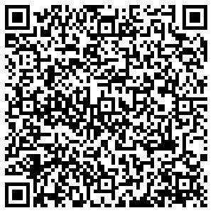 Алеся Тольятти ул. Жигулевская, д. 11 контакты qr