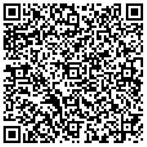 Алеся Тольятти бул. Орджоникидзе, 8 контакты qr