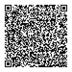 Алгоритмика Санкт-Петербург Каштановая ал., 3 контакты qr