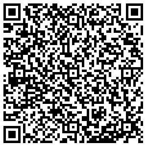 Альмак Советск Чапаева, 31 контакты qr