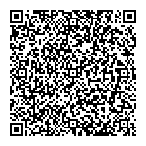 Altair VR Нижний Новгород ул. Родионова, 190б, офис 202 контакты qr