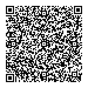 Amakids Санкт-Петербург Брестский Бульвар, 8 контакты qr