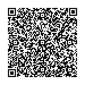 Аптека Радуга Тольятти Борковская ул., д.81 контакты qr