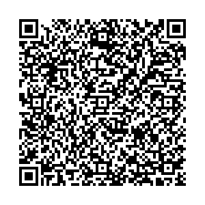 Аскент Воронеж Парковая (Солнечный), 3 контакты qr