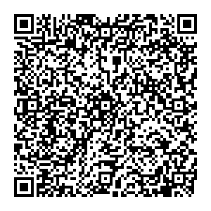 Аура Богемии Санкт-Петербург пр. Литейный, 53 контакты qr
