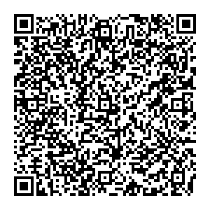 BABOCHKA Санкт-Петербург Невский, 153 контакты qr