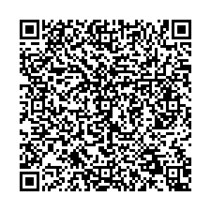 Билайн Березовский Анучина, 3 контакты qr