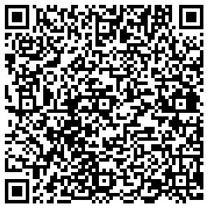 Билайн Липецк Катукова, 51 контакты qr