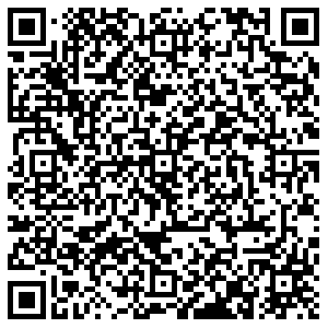 Билайн Пенза Карпинского, 39 контакты qr