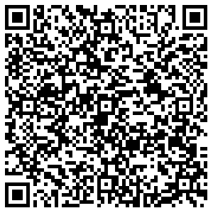 Билайн Пенза Аустрина, 139 контакты qr