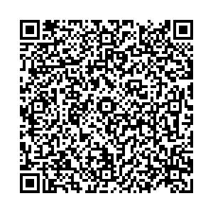 Билайн Пятигорск Панагюриште, 1 контакты qr