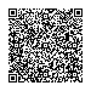 Билайн Нальчик Неделина, 2 контакты qr