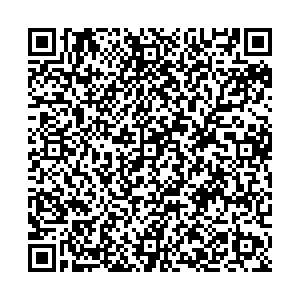 Билайн Нальчик Толстого, 98 контакты qr