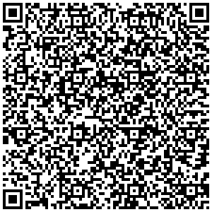 Билайн Владикавказ ул. Бутырина, д. 14 контакты qr