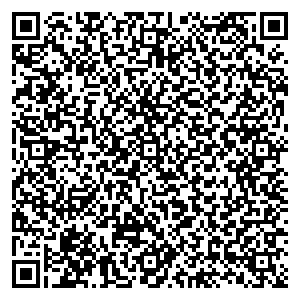 Билайн Нальчик ул. Пушкина, д. 6 контакты qr