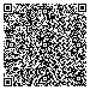 Билайн Ставрополь ул. 50 лет ВЛКСМ, д. 20а контакты qr