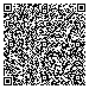 Билайн Калач Лининская, 29 контакты qr