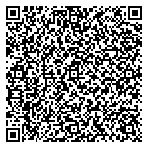 Билайн Воронеж ул. Студенческая, д. 17 контакты qr