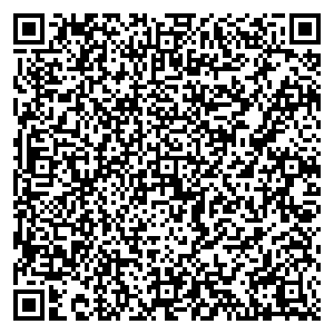 Билайн Брянск ул. Фокина, д. 41 контакты qr