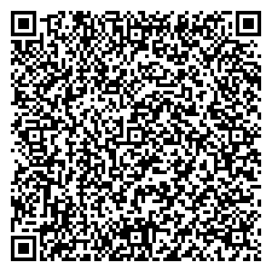 Билайн Новокуйбышевск Миронова, д. 4 контакты qr