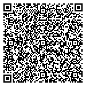 Билайн Тольятти ул. Фрунзе, д. 2А контакты qr