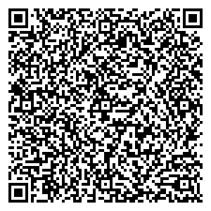 Билайн Тольятти ул. Жигулевская, д. 13 контакты qr