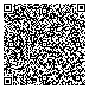 Билайн Серпухов ш. Борисовское, д. 3 контакты qr