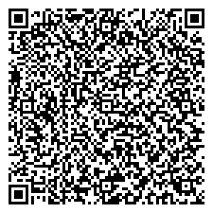 Билайн Серпухов Борисовское ш., д. 1 контакты qr