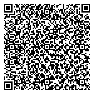 Билайн Великие Луки ул. Ботвина, д. 19 контакты qr