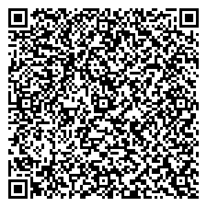 Билайн Великие Луки ул. Вокзальная, д. 14 контакты qr