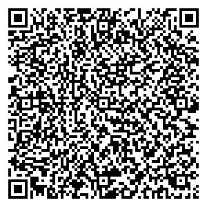 Билайн Псков ул. Индустриальная, д. 4 контакты qr