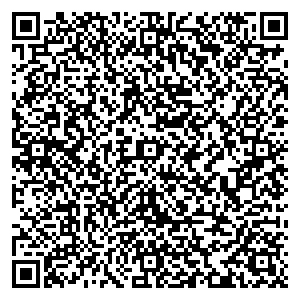 Билайн Печоры ул. Рижская , д. 4 контакты qr