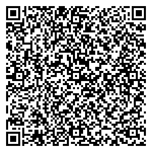 Билайн Сольцы пр. Советский, д.30 контакты qr