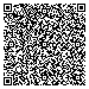 Билайн Ижевск ул. им. Петрова, д. 29 контакты qr