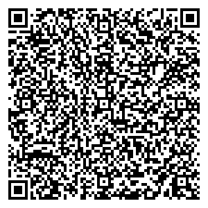 Билайн Кыштым ул. Ленина, д. 6 контакты qr