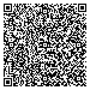 Билайн Шумиха ул. Ленина, д. 46А контакты qr