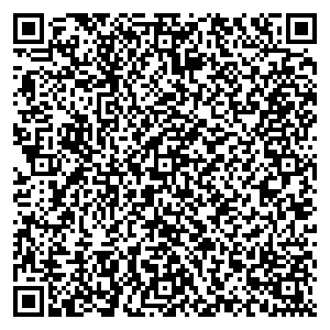 Билайн Кингисепп ул. Воровского, д. 26 контакты qr