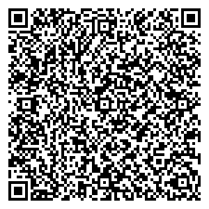 Билайн Колпино ул. Тверская, д. 36 контакты qr