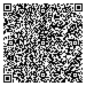 Билайн Пермь ул. Пушкина, д. 100 контакты qr