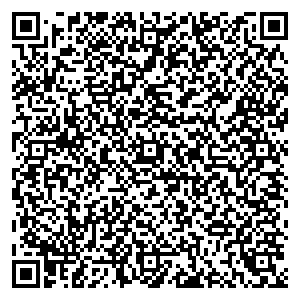 Билайн Курган ул. Коли Мяготина, д. 56А контакты qr