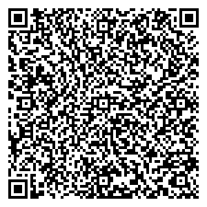 Билайн Котлас ул. Невского, д. 11 контакты qr