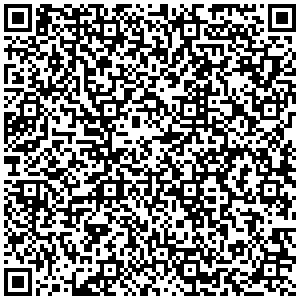 Билайн Тюмень ул. Герцена, д. 95 контакты qr