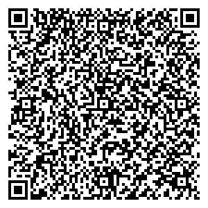 Билайн Барнаул ул. Тимуровская, д. 17 контакты qr