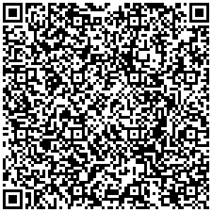 Билайн р. п. Маслянино ул. Партизанская, д. 11А контакты qr