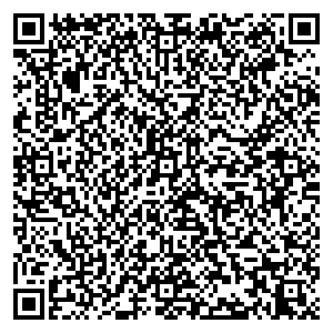 Билайн Воркута Ленина, 35 контакты qr