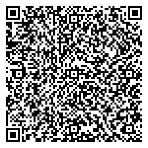 Билайн Артем ул. Партизанская, д. 2 контакты qr